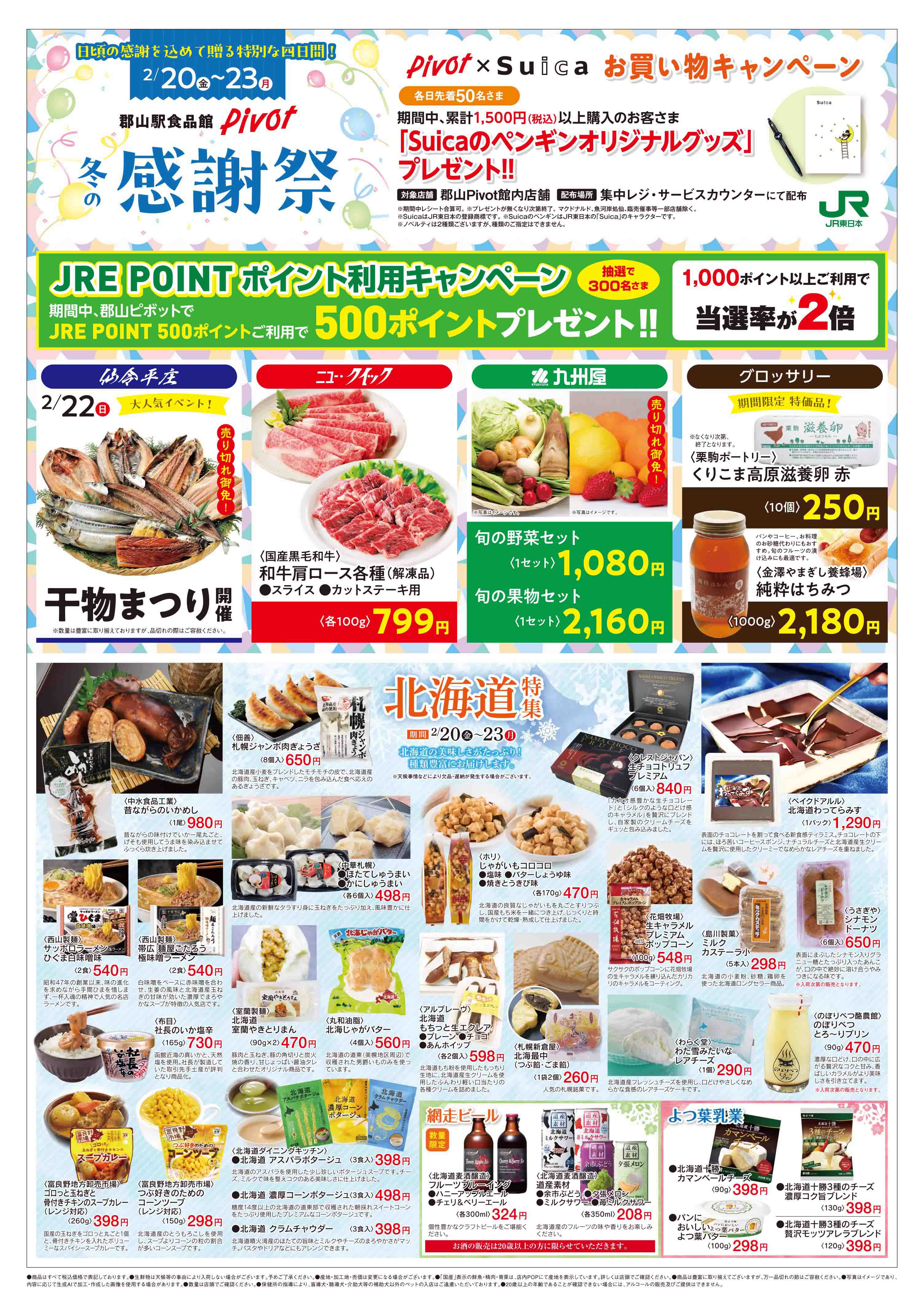 ピボット郡山店チラシ